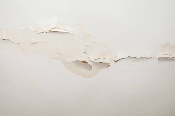Cracks or bubbling paint on ceiling