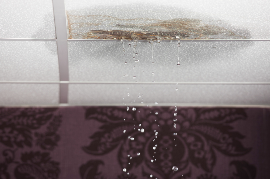 Water Leak Prevention: Essential Tips for Homeowners